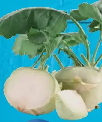 E-Center Kohlrabi Angebot