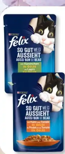 Budni Purina Felix Katzennahrung Angebot