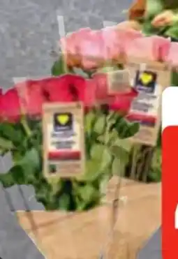 Edeka Frischemarkt Edeka Herzstücke Rosen Angebot