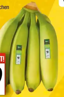 EDEKA Bandelt Edeka Bio Bio-Bananen Angebot