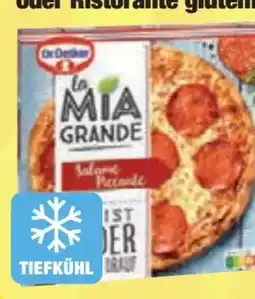 Edeka Dr. Oetker Pizza La Mia Grande Angebot