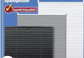Poco Spannplissee Angebot