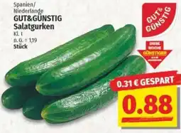 NP Discount GUT&GÜNSTIG Salatgurken Angebot