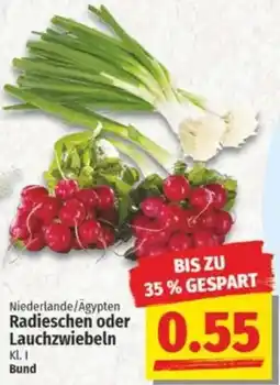 NP Discount Radieschen oder Lauchzwiebeln Angebot