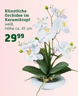 Pflanzen Kölle Künstliche orchidee im keramiktopf Angebot