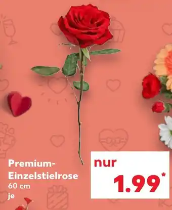 Kaufland Premium- Einzelstielrose Angebot