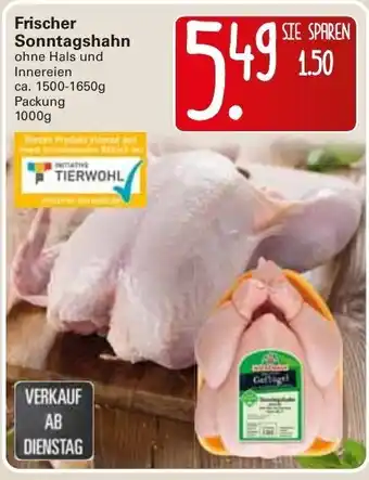 WEZ Frischer Sonntagshahn 1500-1650g Angebot