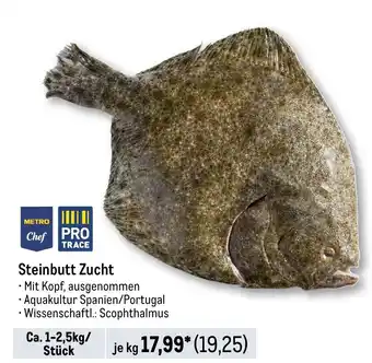 METRO Steinbutt Zucht Angebot