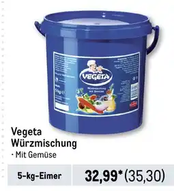 METRO Vegeta Würzmischung Angebot