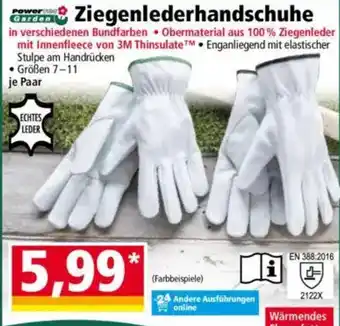 Norma Power garden Ziegenlederhandschuhe Angebot