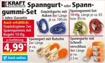 Norma KRAFT Spanngurt- oder Spann- gummi-Set Angebot