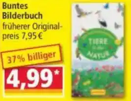 Norma Buntes Bilderbuch Angebot