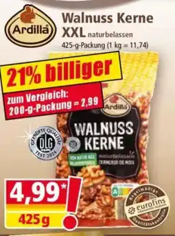 Norma Ardilla XXL naturbelassen Angebot