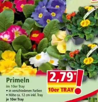 Norma Primeln Angebot