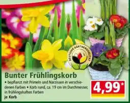 Norma Bunter Frühlingskorb Angebot