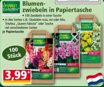 Norma FINEST GARDEN Zwiebeln in Papiertasche Angebot