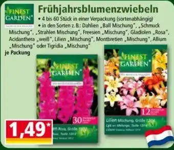 Norma FINEST GARDEN Frühjahrsblumenzwiebeln Angebot