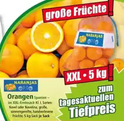 Norma Orangen Angebot