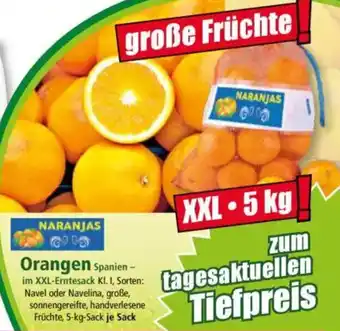 Norma Orangen Angebot