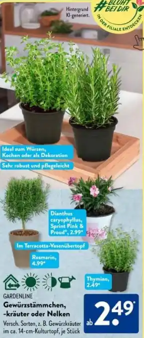 Aldi Süd GARDENLINE Gewürzstämmchen, -kräuter oder Nelken Angebot