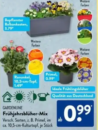 Aldi Süd GARDENLINE Frühjahrsblüher-Mix Angebot