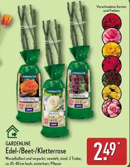 Aldi Nord GARDENLINE Edel-/Beet-/Kletterrose Angebot