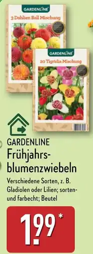 Aldi Nord GARDENLINE Frühjahrs- blumenzwiebeln Angebot