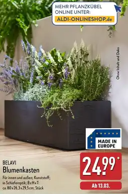 Aldi Nord BELAVI Blumenkasten Angebot