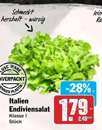 HIT Italien Endiviensalat Angebot