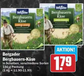 Hit Bergader Bergbauern-Käse Angebot