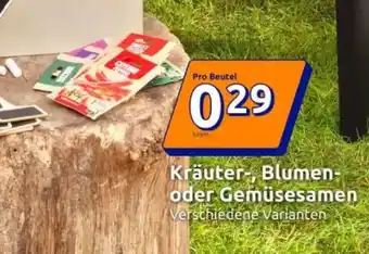 Action Kräuter-, Blumen- oder Gemüsesamen Angebot