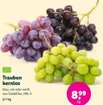 Biomarkt Trauben kernlos Angebot