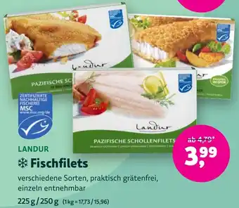 Biomarkt LANDUR Fischfilets Angebot