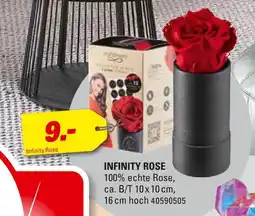 Höffner Infinity rose Angebot