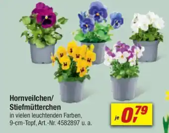 toom Baumarkt Hornveilchen/ Stiefmütterchen Angebot