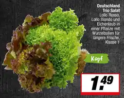 L. STROETMANN GROSSMARKT Deutschland Trio Salat Angebot