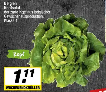 L. STROETMANN GROSSMARKT Belgien Kopfsalat Angebot