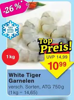 Jawoll White Tiger Garnelen Angebot