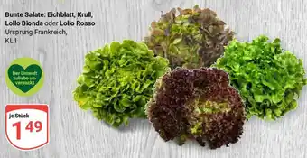 Globus Bunte Salate: Eichblatt, Krull, Lollo Bionda oder Lollo Rosso Angebot