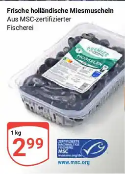 Globus Frische holländische Miesmuscheln Angebot