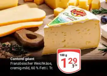 Globus Cantorel géant Angebot