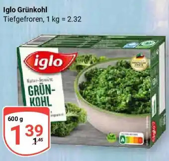 Globus Iglo Grünkohl Angebot