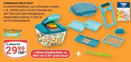 Globus Zerkleinerer Nicer Dicer Nicer Dicer CHEF Angebot