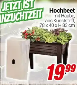 CENTERSHOP Hochbeet Angebot