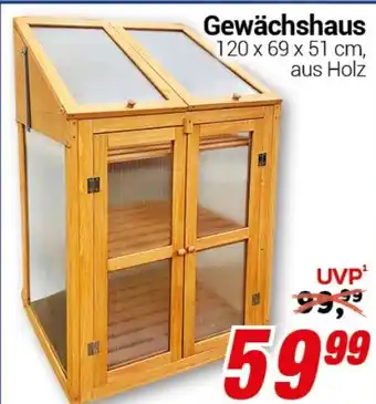 CENTERSHOP Gewächshaus 120 x 69 x 51 cm, Angebot