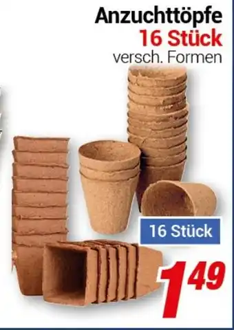 CENTERSHOP Anzuchttöpfe 16 Stück Angebot