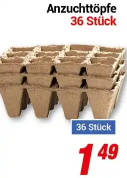 CENTERSHOP Anzuchttöpfe 36 Stück Angebot