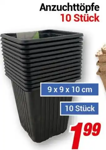 CENTERSHOP Anzuchttöpfe 10 Stück Angebot