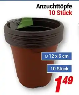 CENTERSHOP Anzuchttöpfe 10 Stück Angebot