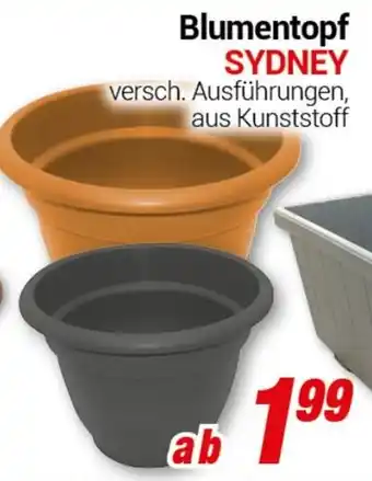 CENTERSHOP Blumentopf SYDNEY Angebot